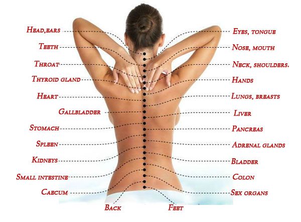 Rückenschmerzen – Warum und was kann ich tun ?